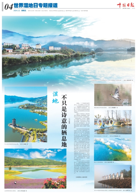 A04版导读