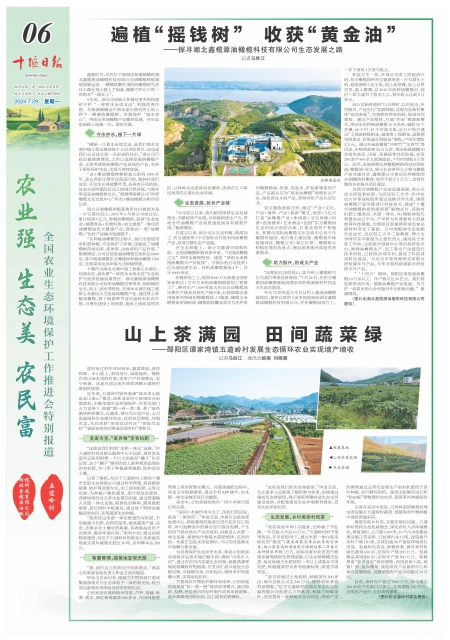 A06版导读