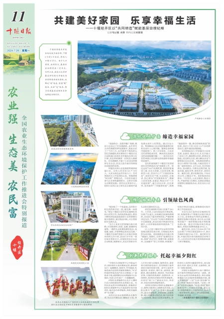 A11版导读