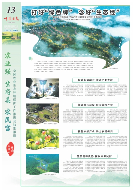 A13版导读