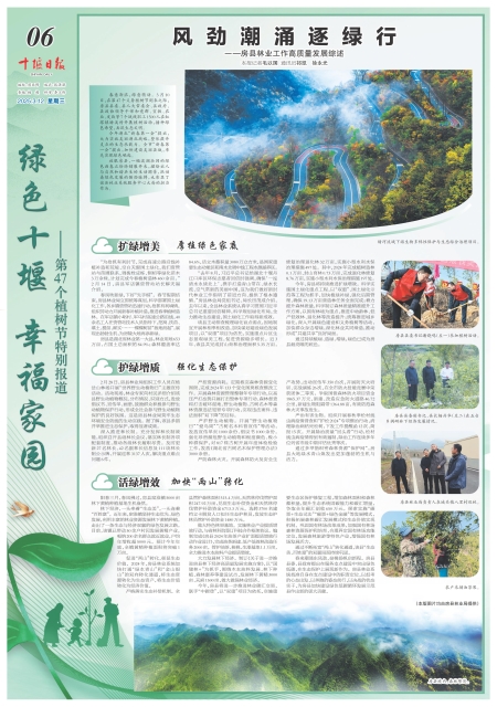 A06版导读