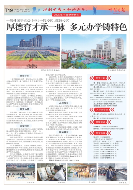 T19版导读