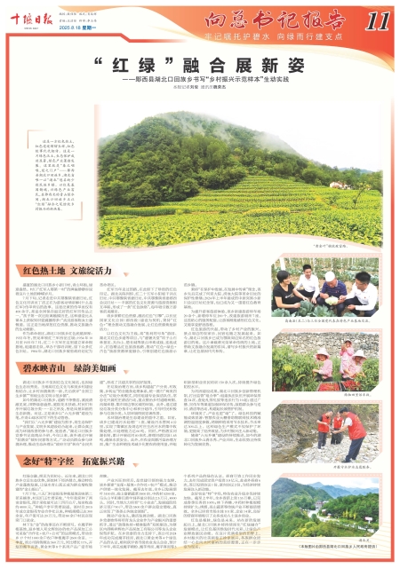 A11版导读