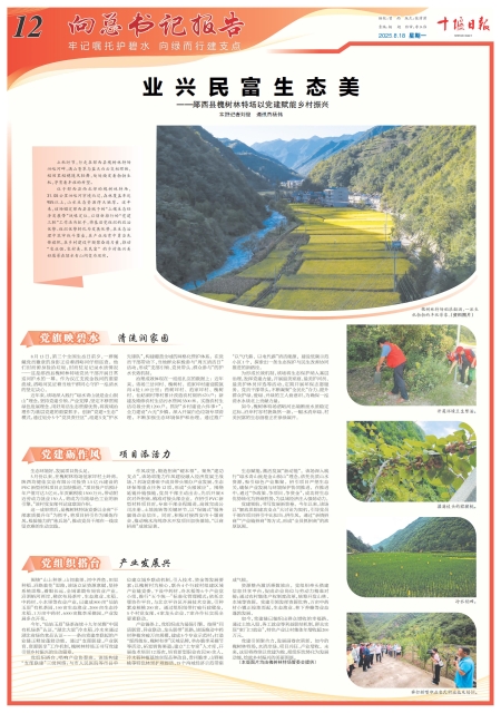 A12版导读