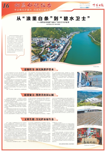 A16版导读
