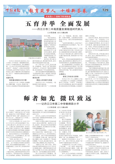 T29版导读