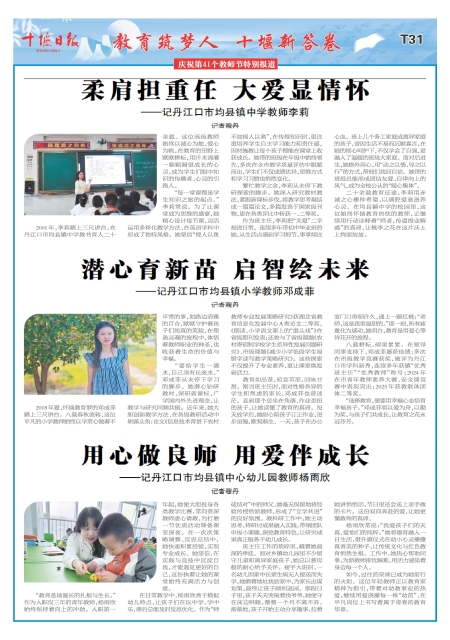 T31版导读