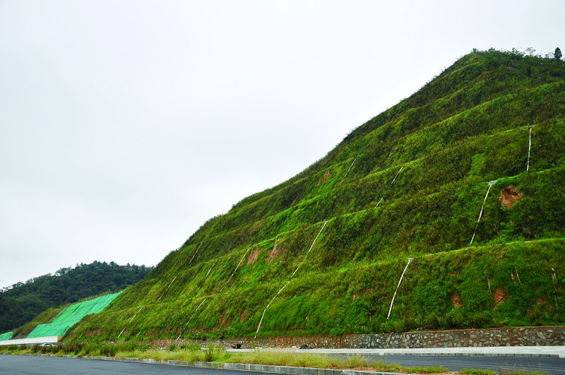 对裸露山体进行生态修复