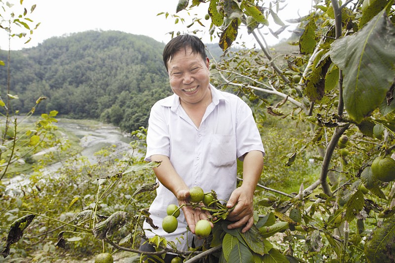 馆 正文秦楚网讯(十堰日报)记者周亚晖 实习生金东东 通讯员王松岭 在