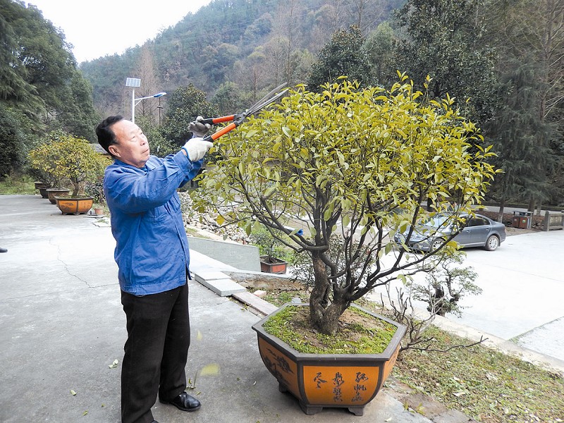 正文秦楚网讯(十堰日报)文/图 记者 纪枫波 通讯员 崔连江 王松岭 王