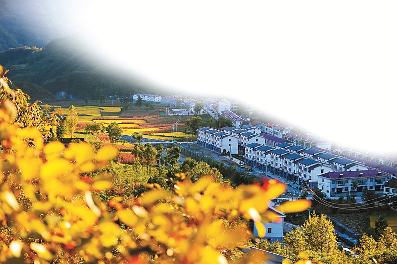 美丽乡村 唱响田园牧歌