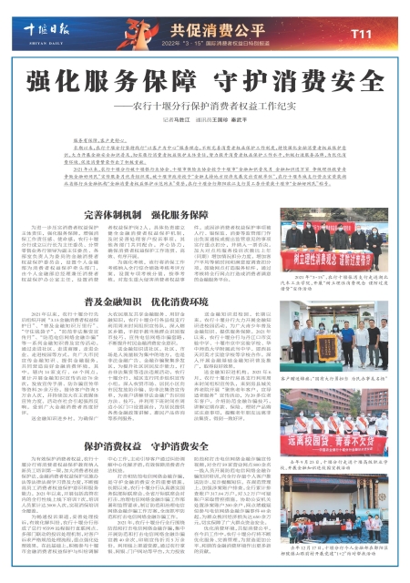 T11版导读