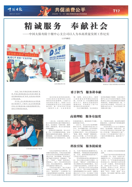 T17版导读