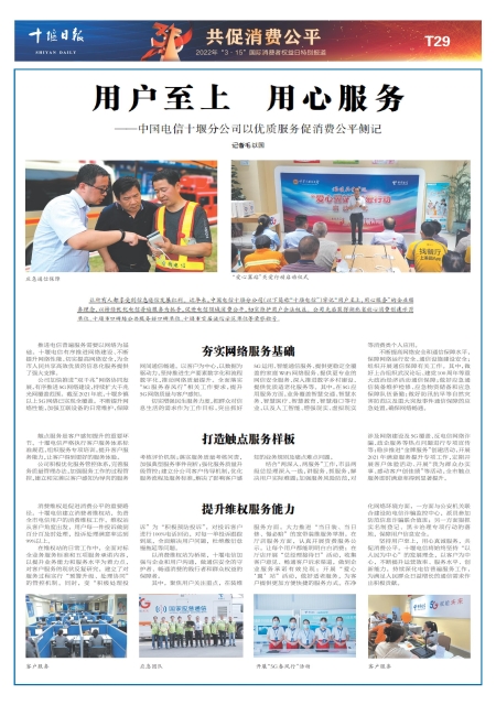 T29版导读