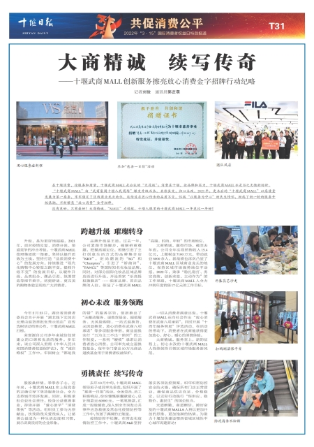 T31版导读