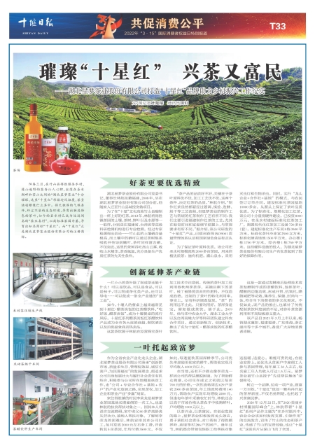 T33版导读