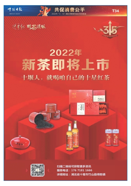 T34版导读