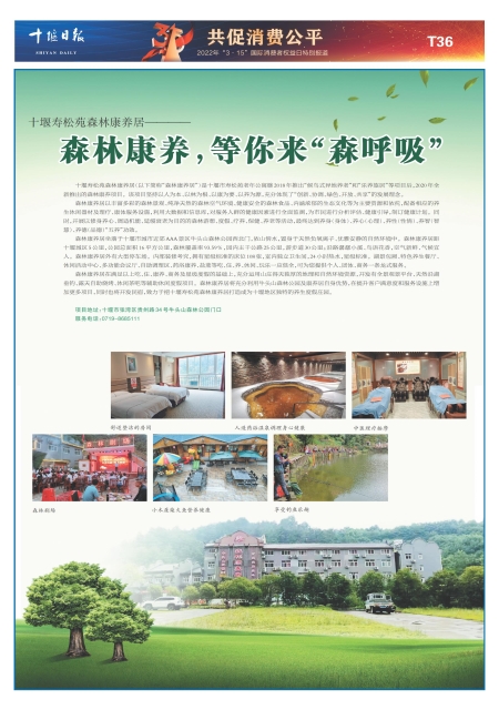 T36版导读