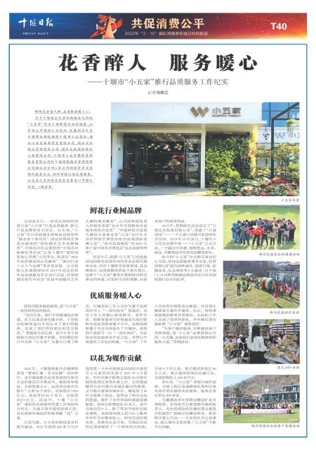 T40版导读