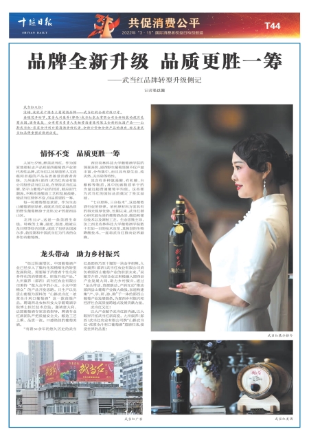 T44版导读