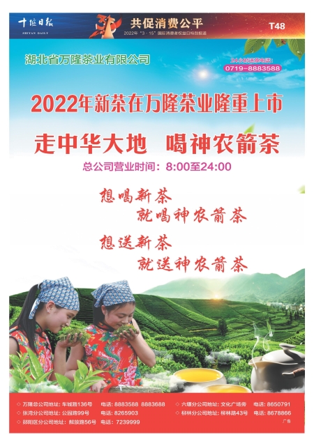 T48版导读