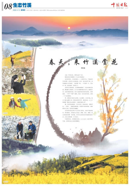 A08版导读