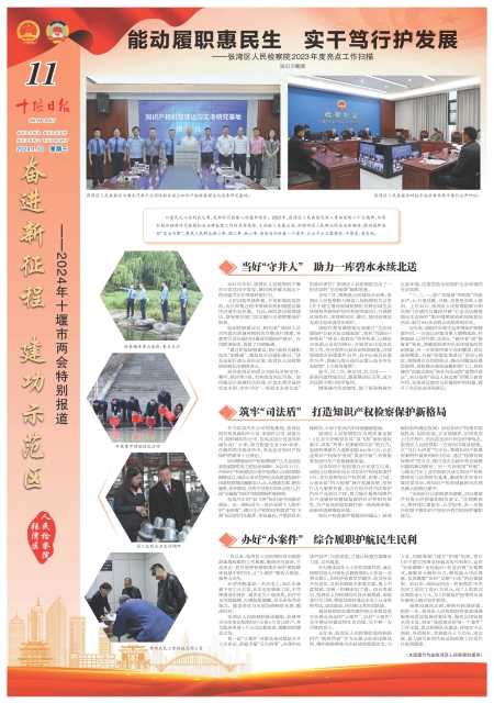 A11版导读