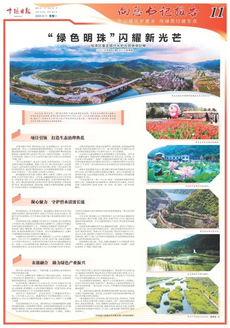 A11版导读