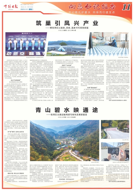 A11版导读