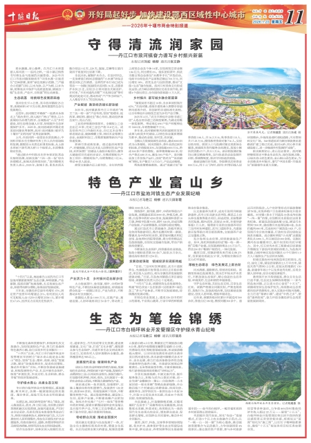 A11版导读