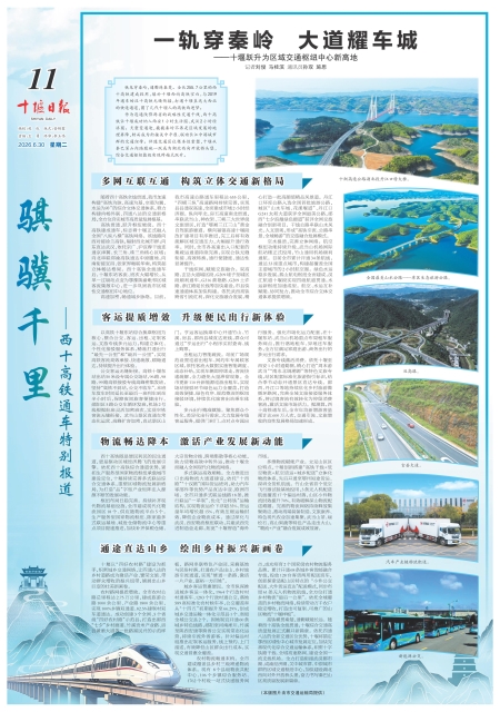 A11版导读