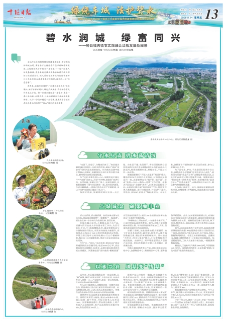 A13版导读