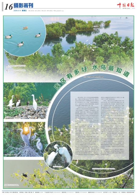 A16版导读