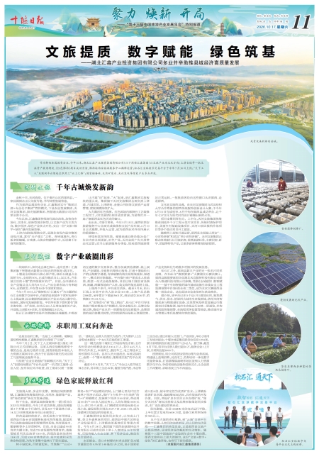 A11版导读